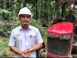 Sei Kebara Meraih Kebun Kelapa Sawit Terbaik Ke 4 Setingkat Holding