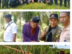 Warga Dusun Pardomuan Bersama LSM Dan Wartawan Bangun Jembatan Darurat