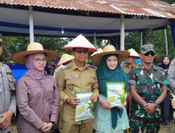 Kebun Jagung Program Ketapang, Wakil Bupati Panen Perdana dan Serahkan Benih