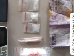 Sat Narkoba Polres Pelabuhan Belawan Tangkap Dua Pengedar Narkoba di Desa Kota Datar