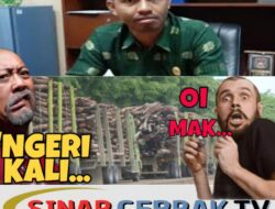 Janji Palsu Kemitraan: PT RAPP Dinilai Eksploitasi Lahan Rakyat