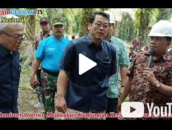 Komisaris Palmco Melakukan Kunjungan Kerja ke Kebun Sei Daun