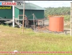 PKS Di Duga Tidak Menggantogi Ijin Tapi Tetap Masi Aktif  Beroperasi, Pengusaha Kebal Hukum