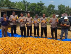 Polsek Bagan Sinembah Panen Jagung Perdana, Dukung Swasembada Pangan 2025