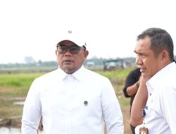 Bupati Pelalawan Tinjau Kawasan Persawahan Untuk Pengembangan Sentra Pangan Dan Wisata