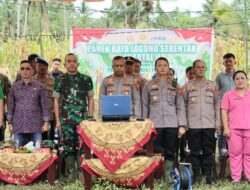 Dukung ketahanan pangan nasional Kapolres Nias bersama Dandim 0213 Nias panen Jagung di Dahana tabaloho.