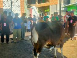 Ketua LPM Syafardin Telaumbanua Bersama ketua PAQ dipercaya warga untuk penyembelihan 11 ekor Hewan Qurban