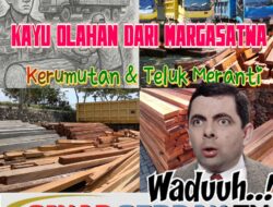 Kayu Hasil Olahan Banyak Melintas di Pelalawan, APH Tutup Mata