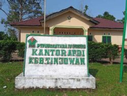Di Duga Tampung Buah Sawit Curian MD Diduga Rugikan PTPN lV Tinjoan Milyaran Rupiah