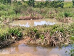 Limbah Lumpur PT. Indojaya Agrinusa Cemari Lingkungan Warga Kampung Gesek Toapaya