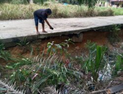 Bupati melalui PUTR Rohil Lakukan Perbaikan Darurat Atasi Abrasi Jalan di Bagan Sinembah