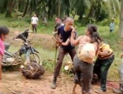 Bentrokan Berdarah Pecah di Kebun Rumbia 1 Rohil, Diduga Libatkan Warga KM 31 dan Keamanan PT UTS