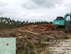 Aktivitas Penebangan Kayu  Masih Terpantau di Lahan Adat Batin Sengeri