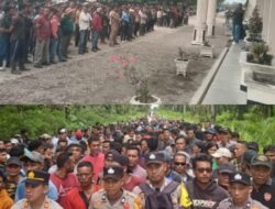 Penjarah TBS Pimpinan SRM S Merajalela Dan diduga Akan Menguasai Kantor Rantau Kasai, Karyawan Marah dan Bertindak Mengusir Kelompok Penjarah