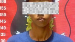 Sat Reskrim Polres Pesibar Berhasil Menangkap Pelaku Sembunyi Di Hutan Kawasan Rata Agung