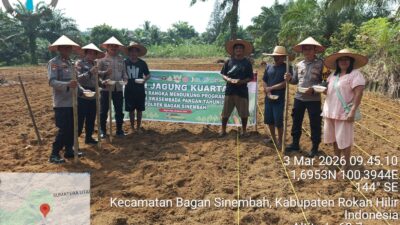 Polsek Bagan Sinembah Tanam Jagung Pipil 2 Hektar, Dukung Program Asta Cita Presiden RI