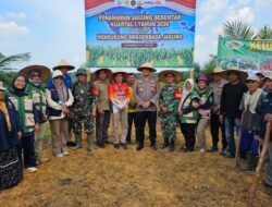 Polsek Bagan Sinembah Tanam Jagung 30 Hektare Dukung Ketahanan Pangan dan Program Asta Cita Presiden