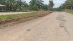 Terbengkalai, Proyek Jalan Lingkar di Kota Baganbatu Untuk Si (Apa)?