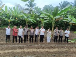 Perkuat Ketahanan Pangan, Polsek Rambah Optimalkan Lahan Lewat Penanaman Jagung di Bangun Purba
