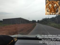 Diduga Tak Ber-IMB, 42 Unit Ruko di Bilah Hilir Jadi Sorotan.