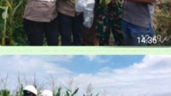 Dukung ketahanan pangan PT, RSI, dapat Apresiasi dari Upika ujung baru,