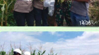 Dukung ketahanan pangan PT, RSI, dapat Apresiasi dari Upika ujung baru,