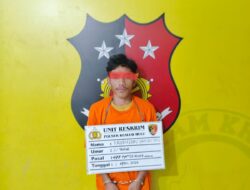 Polsek Kualuh Hulu Tangkap Pelaku Pencurian Sawit Modus ‘Bajing Loncat’ di Jalinsum