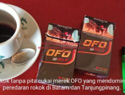 Peredaran Rokok Non Cukai Merek OFO & H&D di Kepri Semakin Menggila, Pemasukan ke Negara Kian tak Jelas