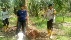 Polsek Panipahan Laksanakan Problem Solving Tipiring, Wujudkan Restorative Justice di Masyarakat