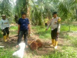 Polsek Panipahan Laksanakan Problem Solving Tipiring, Wujudkan Restorative Justice di Masyarakat