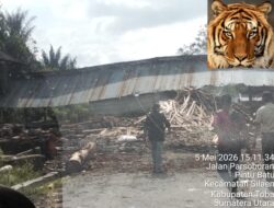 Pajak dan Legalitas Usaha Pengolahan Kayu di Desa Parsambilan Dipertanyakan, Menjadi Sorotan Media
