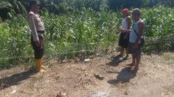 Jajaran Polsek Panipahan Melakukan Monitoring Ketapang di Palika.