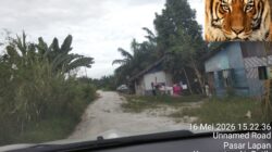 Dugaan Usaha Ilegal Cafe Milik Marga Sihombing di Indrapura Kota Diduga Jual Miras dan Sediakan Wanita Penghibur