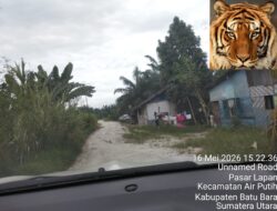 Dugaan Usaha Ilegal Cafe Milik Marga Sihombing di Indrapura Kota Diduga Jual Miras dan Sediakan Wanita Penghibur