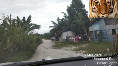 Dugaan Usaha Ilegal Cafe Milik Marga Sihombing di Indrapura Kota Diduga Jual Miras dan Sediakan Wanita Penghibur