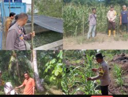Jaga Ketersediaan Pangan, Bhabinkamtibmas Polsek Panipahan Rutin Cek Wilayah Binaan