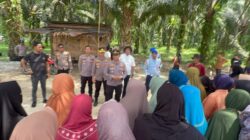 Gabungan Polisi Bubarkan 3 Lokasi Ilegal Mining Di Kualu – Pasang Police Line, Pembongkaran Tempat Galian