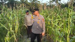 POSLEK PUJUD CEK KETAPANG, DUKUNG PROGRAM PEMERINTAH