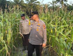 POSLEK PUJUD CEK KETAPANG, DUKUNG PROGRAM PEMERINTAH