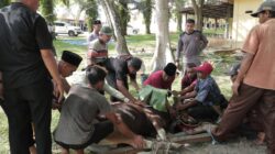 Polres Rokan Hilir Gelar Penyembelihan Hewan Qurban Sambut Idul Adha 1447 H