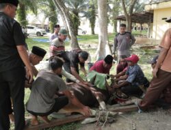 Polres Rokan Hilir Gelar Penyembelihan Hewan Qurban Sambut Idul Adha 1447 H