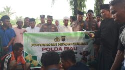 Kapolda Riau dan Kapolres Rohil Salurkan Hewan Qurban untuk Masyarakat Panipahan dan Rantau Kopar