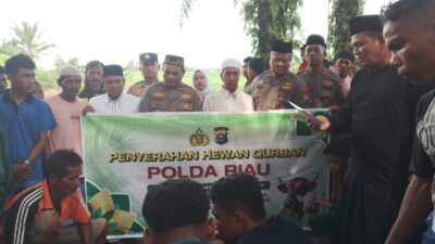 Kapolda Riau dan Kapolres Rohil Salurkan Hewan Qurban untuk Masyarakat Panipahan dan Rantau Kopar