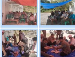 PEMKAB PESISIR BARAT GELAR PEMOTONGAN HEWAN KURBAN IDUL ADHA 1447 H, PERKUAT SEMANGAT BERBAGI DAN KEPEDULIAN SOSIAL