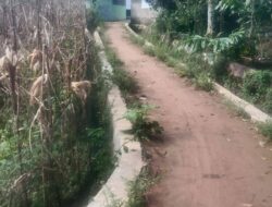 Terkesan Tak Ada Transparansi Terkait Pembangunan Menggunakan DD di Desa Nanggarjati Hutapadang