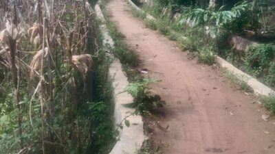 Terkesan Tak Ada Transparansi Terkait Pembangunan Menggunakan DD di Desa Nanggarjati Hutapadang