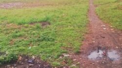 Kuat Dugaan Ada Kejanggalan Penggunaan Dana Desa di Nanggarjati Hutapadang, Bantuan Karang Taruna Disebut Tak Pernah Disalurkan