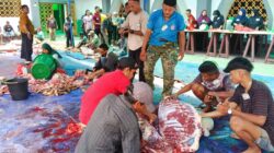 Masjid Agung AL Hikmah Tanjungpinang Sembelih Hewan Qurban Belasan Ekor Sapi dan Kambing