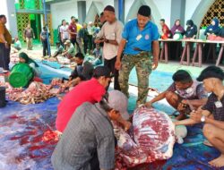 Masjid Agung AL Hikmah Tanjungpinang Sembelih Hewan Qurban Belasan Ekor Sapi dan Kambing