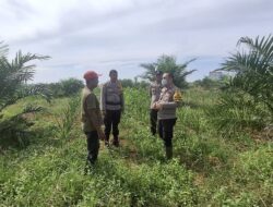 POLSEK BAGAN SINEMBAH LAKUKAN PENGECEKAN PERTUMBUHAN JAGUNG PIPIL UNTUK DUKUNG KETAHANAN PANGAN NASIONAL